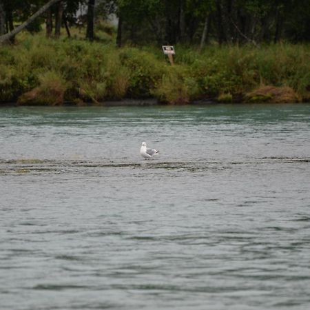 كيناي Salmon Catcher Lodge المظهر الخارجي الصورة