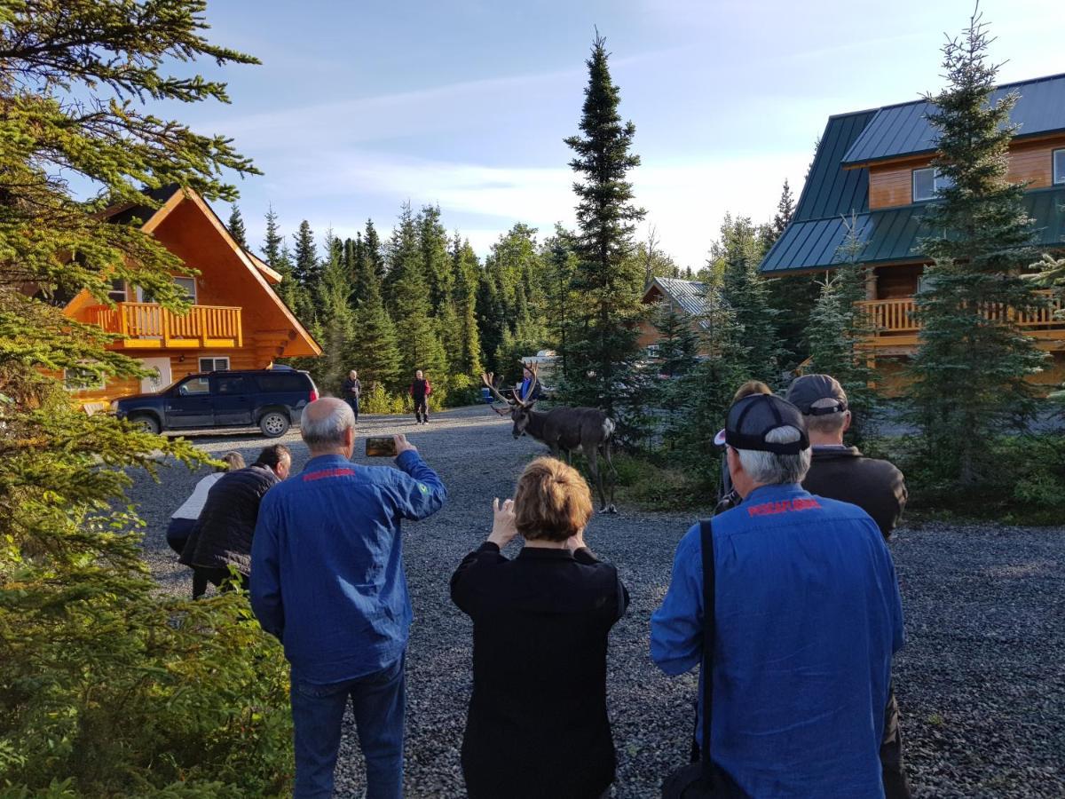 كيناي Salmon Catcher Lodge المظهر الخارجي الصورة